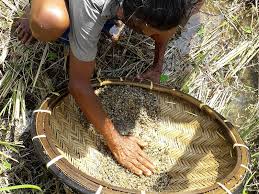 Gem mining