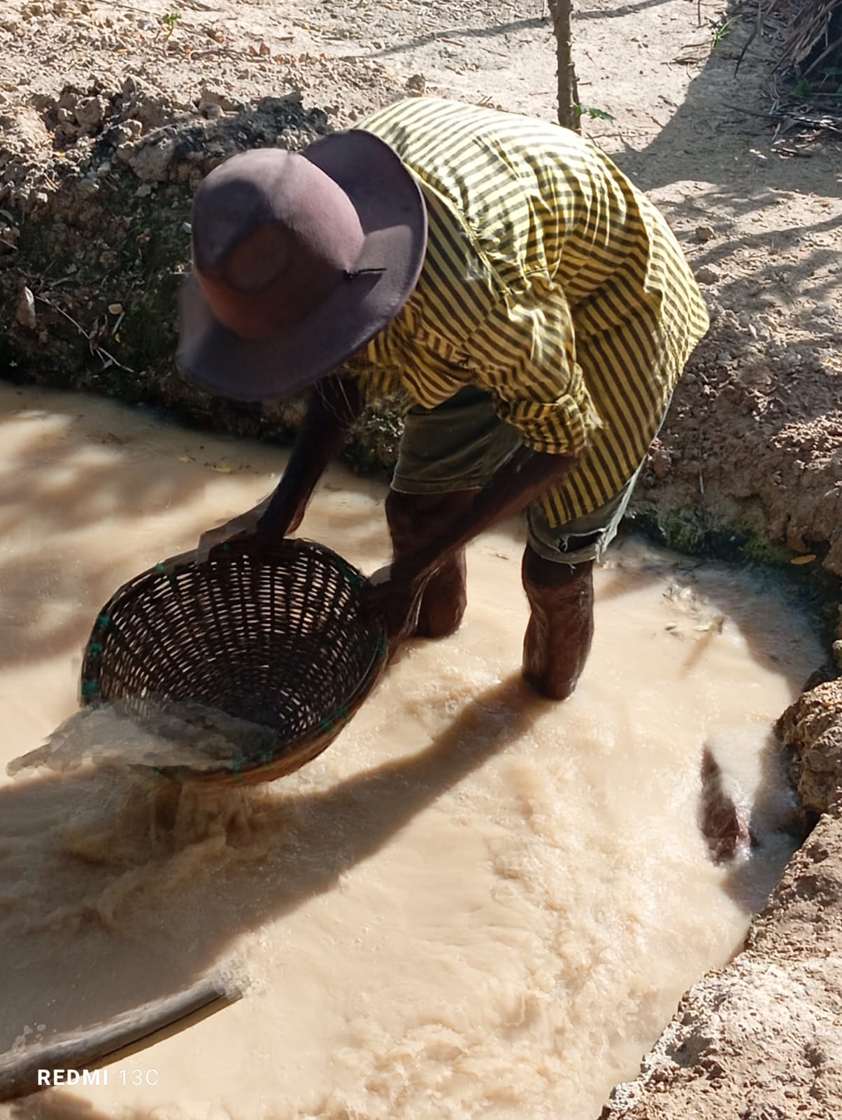 Gen mining
