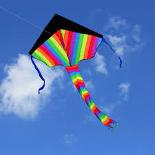 Kite