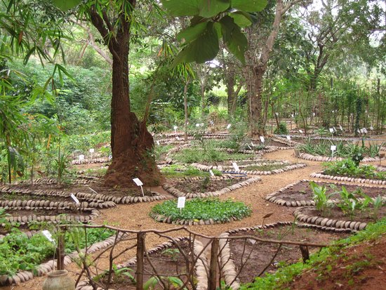 Botanic garden
