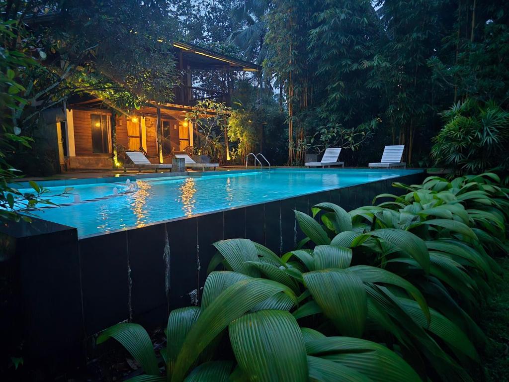 Sinharaja accomodation