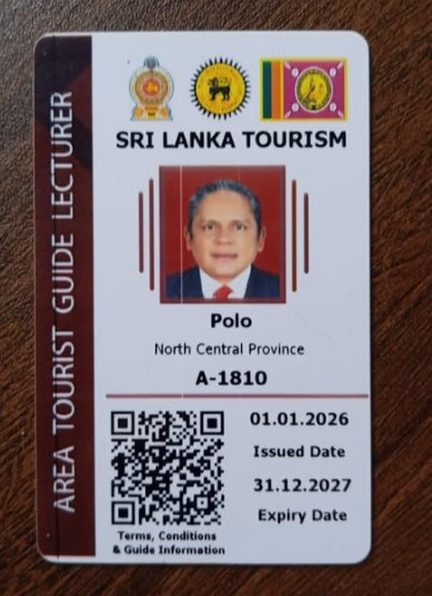 Tour guide
